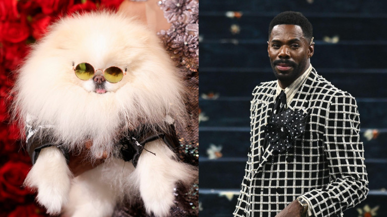 pet-gala-vs-met-gala (6)