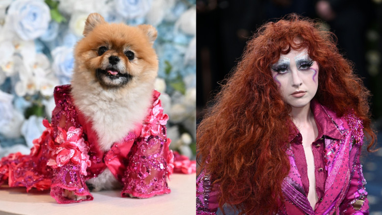 pet-gala-vs-met-gala (3)
