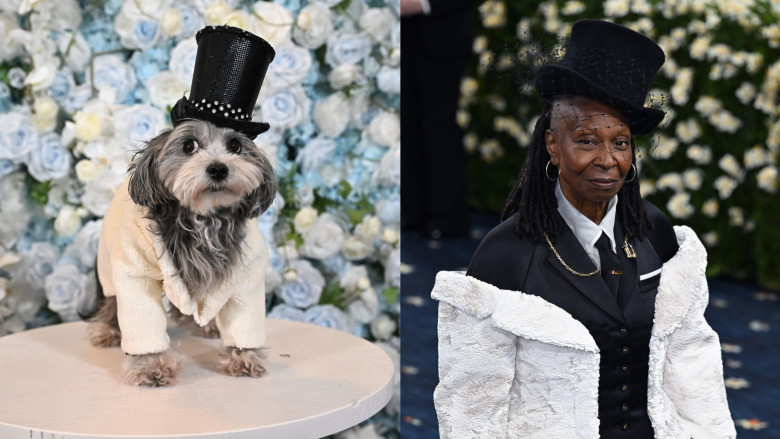 pet-gala-vs-met-gala (4)