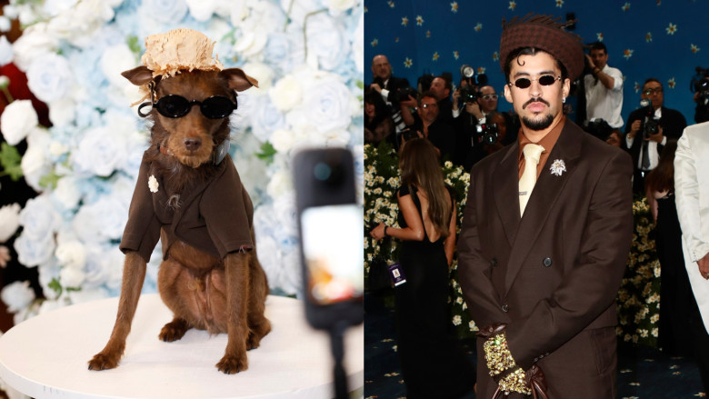 pet-gala-vs-met-gala (5)