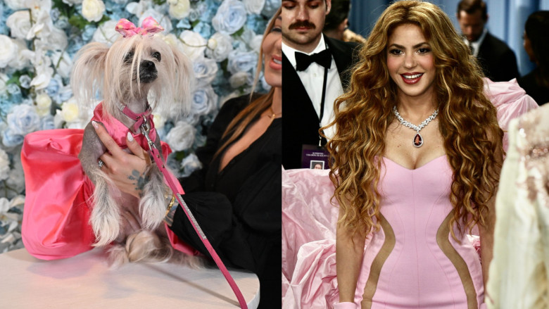 pet-gala-vs-met-gala (7)