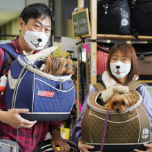 Japonia are mai multe animale de companie decât copii. Diferența a ajuns la peste 2 milioane