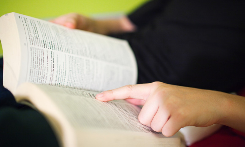 Person reading dictionary