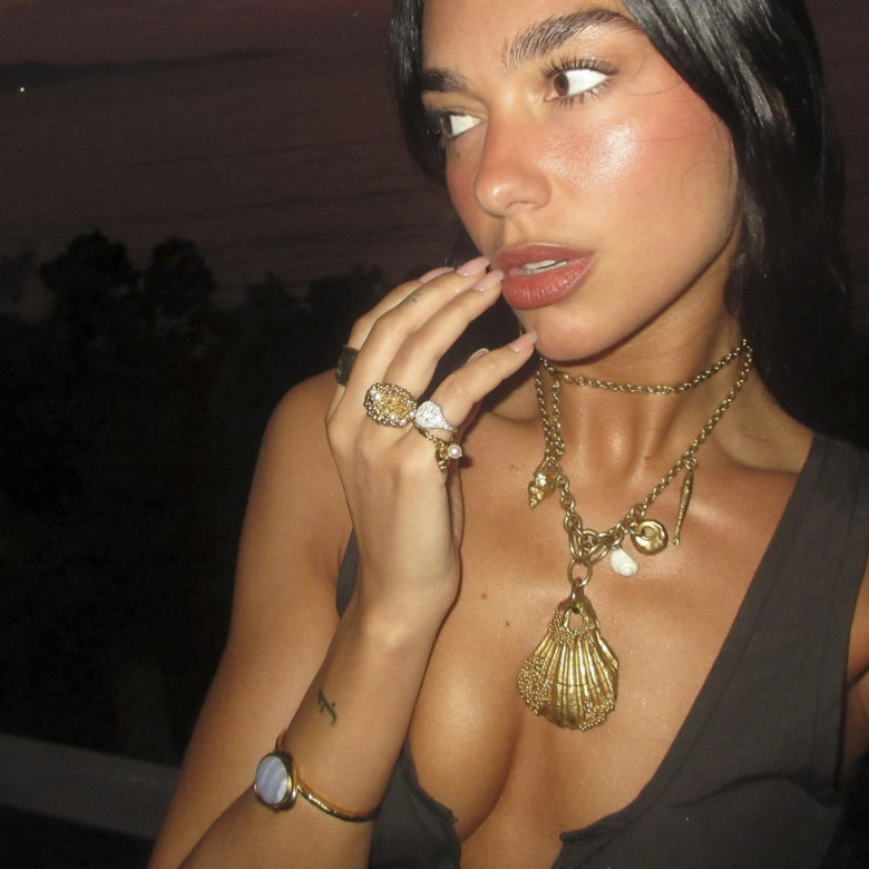 Dua Lipa on social media