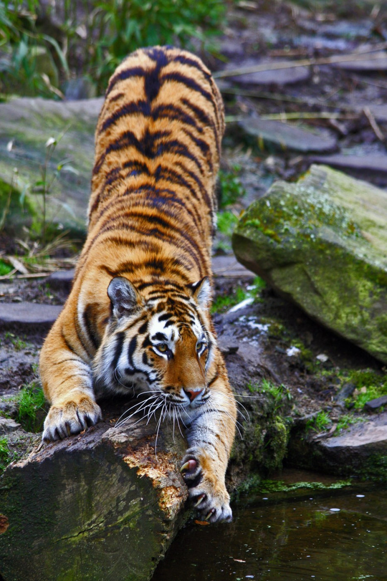 stretching exercise