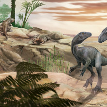 Unul dintre cei mai vechi dinozauri din lume, descoperit în Anzi. Fosila are peste 230 de milioane de ani