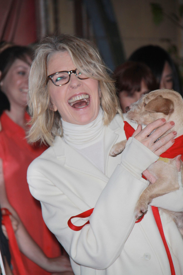 "Darling Companion" Premiere 2012