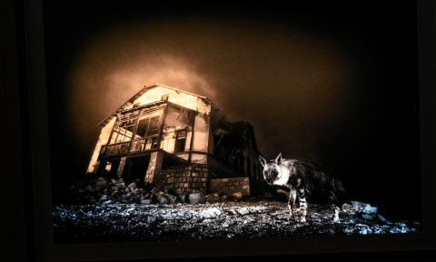 South African wildlife photographer Wim ban den Heever was announced as the Wildlife Photographer of the Year 2025. His image &apos;Ghost Town Visitor&apos; shows a brown hyena which is the rarest hyena species in the world. Wim van den Heever got the winning shot