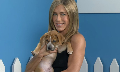 Jennifer Aniston est en promotion pour