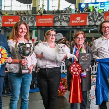 Trei pisici din România, desemnate cele mai frumoase din lume în 2025