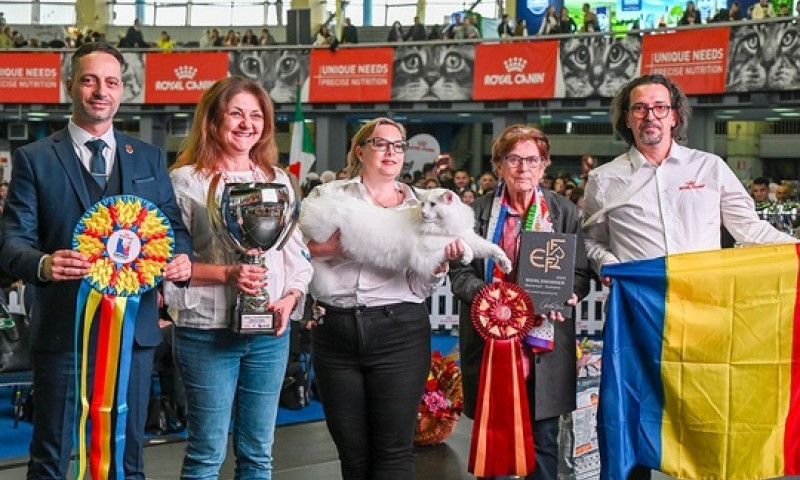 wild-forests-nordri1