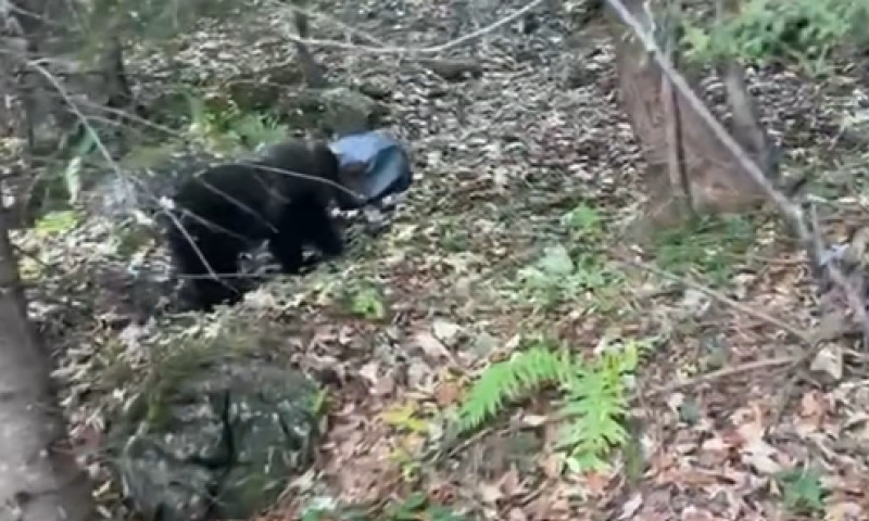 captura-de-ecran-2025-11-02-234331