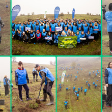 #OameniiDIGI au plantat 5.200 de puieți la cea de-a doua ediție „Pădurea DIGI. Fiecare copac, o schimbare”