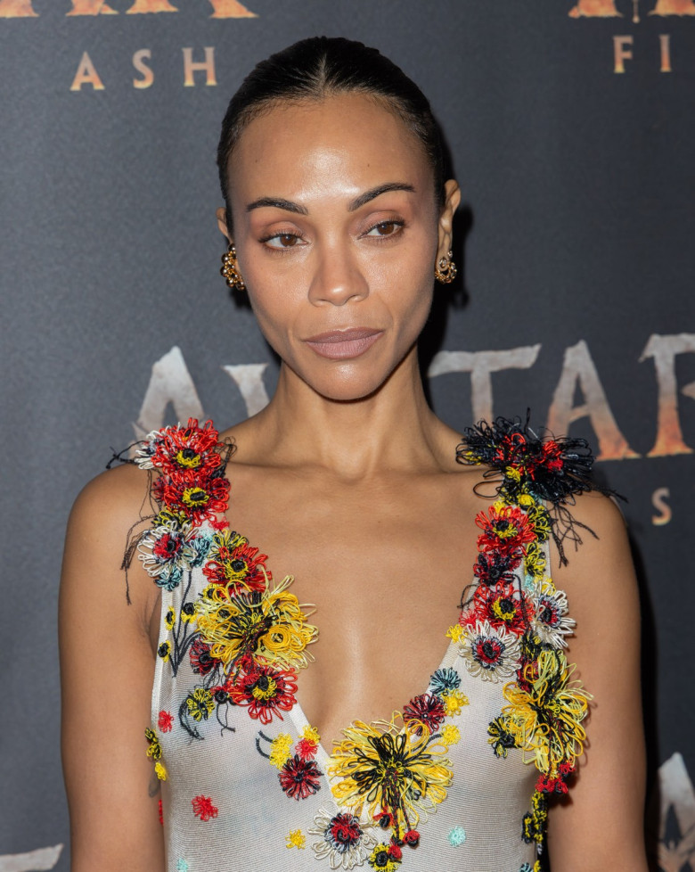 "Avatar: Fire And Ash" Miami Special Screening