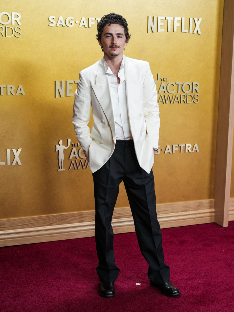 CA: 32nd Annual Actor Awards - Arrivals