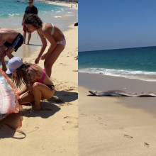 Creaturi misterioase din adâncuri au apărut pe o plajă din Mexic. Doi „peşti ai apocalipsei” au fost filmaţi de turiști