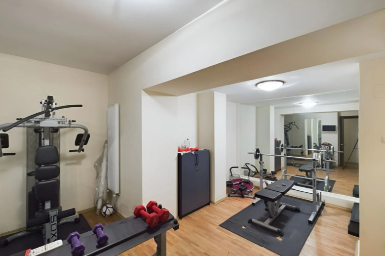 vila-dacia-spectaculoasa12