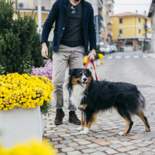 Un oraș din Italia îi obligă pe stăpânii de câini să curețe urina animalelor. Ce amenzi riscă cei care nu respectă regula