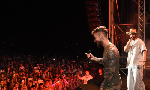 Site Cover-186