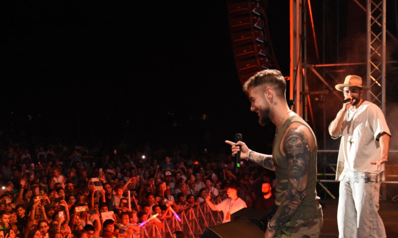 Site Cover-186