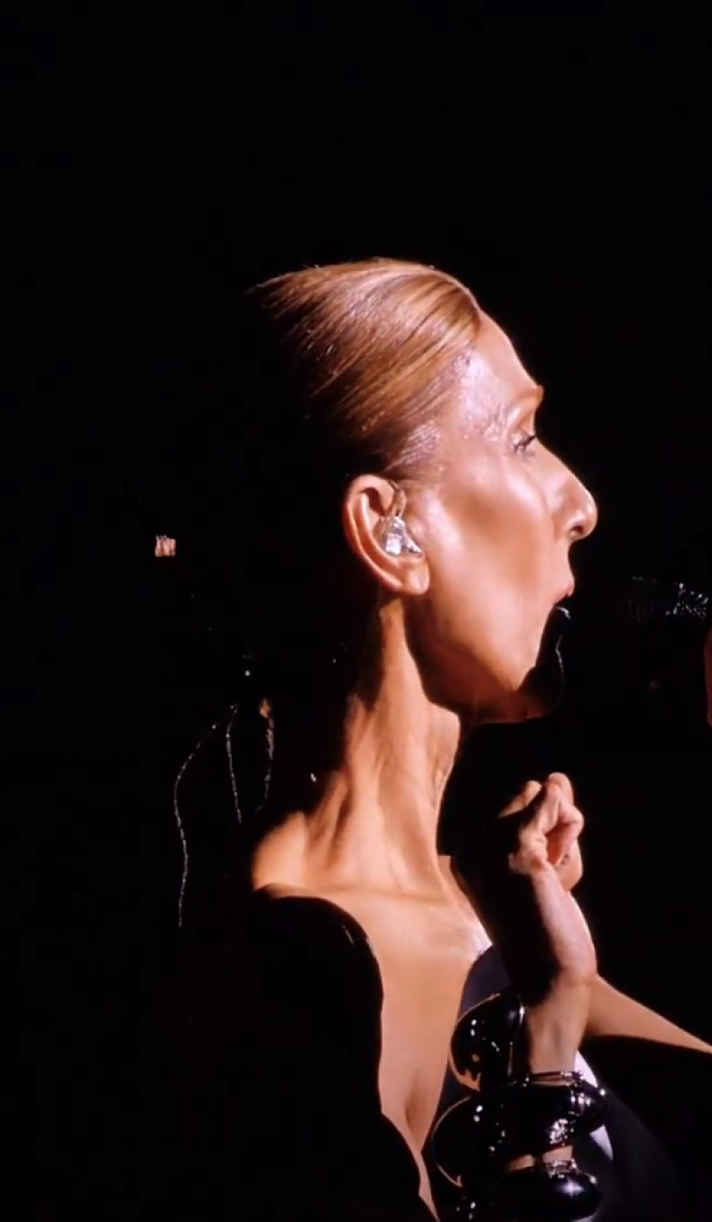 celine-dion3