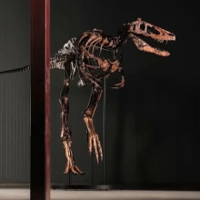 Un schelet de dinozaur s-a vândut cu 47,3 milioane de dolari. Fosila rară a stârnit controverse printre oamenii de știință
