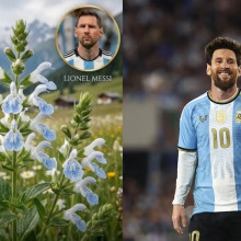 O plantă, o șopârlă și o ciupercă poartă numele lui Lionel Messi. Recordul neobișnuit al fotbalistului