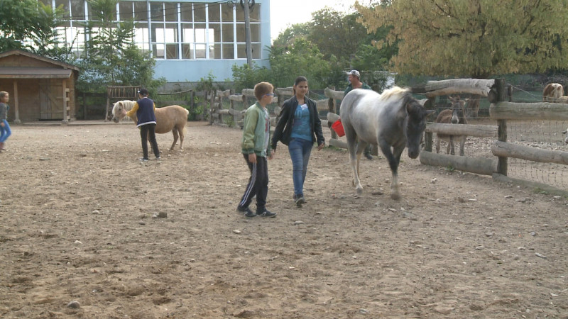 PARINTI_ADOPTIVI_ZOO_031016