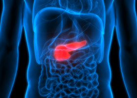 O terapie care combină trei medicamente elimină cancerul pancreatic şi previne reapariţia acestuia, potrivit unui studiu realizat pe şoareci