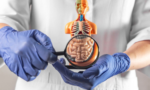 Alimentele pe care medicii gastroenterologi încearcă să nu le consume niciodată. Cum ne afectează ele sănătatea