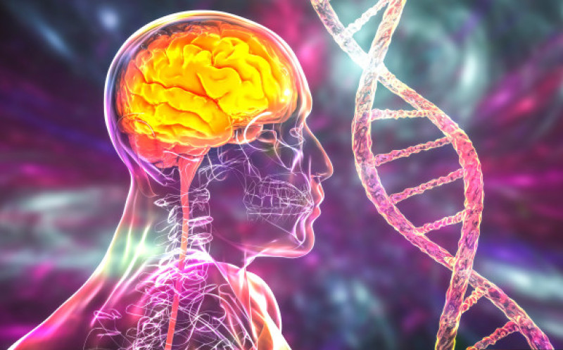 scleroza laterală amiotrofică