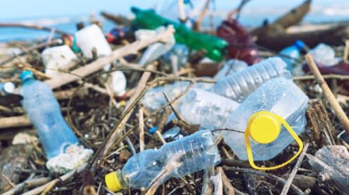 Poluarea cu plastic, o ameninţare „gravă şi subestimată” la adresa sănătăţii, care costă omenirea cel puţin 1.500 de miliarde de dolari/an