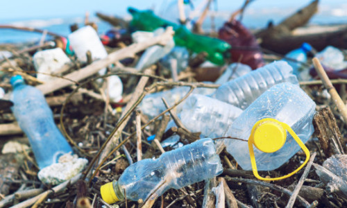 Poluarea cu plastic, o ameninţare „gravă şi subestimată” la adresa sănătăţii, care costă omenirea cel puţin 1.500 de miliarde de dolari/an