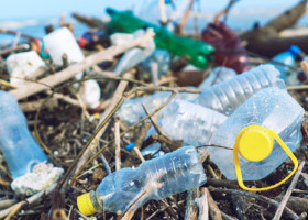 Poluarea cu plastic, o ameninţare „gravă şi subestimată” la adresa sănătăţii, care costă omenirea cel puţin 1.500 de miliarde de dolari/an
