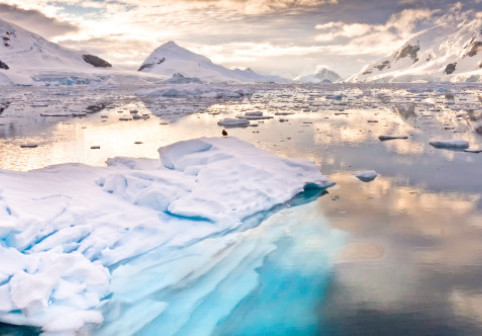 Antarctica, tot mai afectată de turism. „Un singur turist poate contribui la accelerarea topirii a circa 100 de tone de zăpadă”