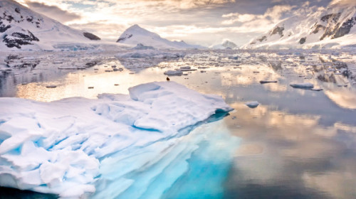 Antarctica, tot mai afectată de turism. „Un singur turist poate contribui la accelerarea topirii a circa 100 de tone de zăpadă”