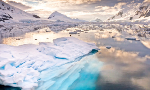 Antarctica, tot mai afectată de turism. „Un singur turist poate contribui la accelerarea topirii a circa 100 de tone de zăpadă”