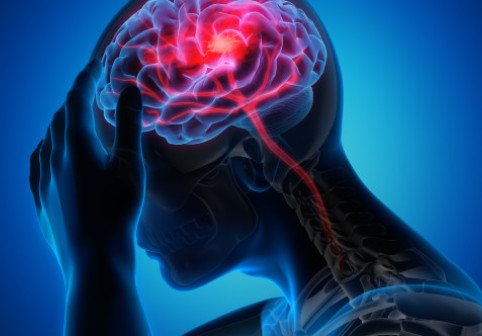 Când încep să ni se formeze gândurile? Creierul uman este „preconfigurat” cu instrucţiuni pentru a înţelege lumea