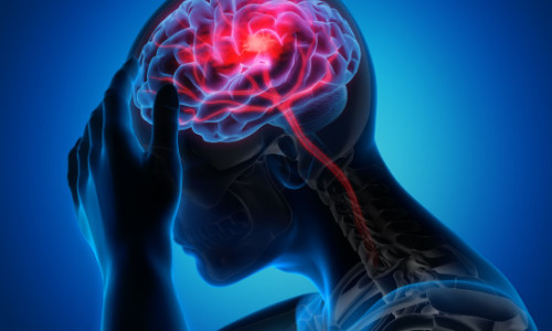 Când încep să ni se formeze gândurile? Creierul uman este „preconfigurat” cu instrucţiuni pentru a înţelege lumea