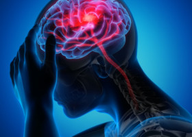 Când încep să ni se formeze gândurile? Creierul uman este „preconfigurat” cu instrucţiuni pentru a înţelege lumea