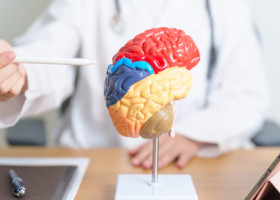 Riscul de Alzheimer, redus cu aproape 40% printr-un obicei simplu practicat toată viața