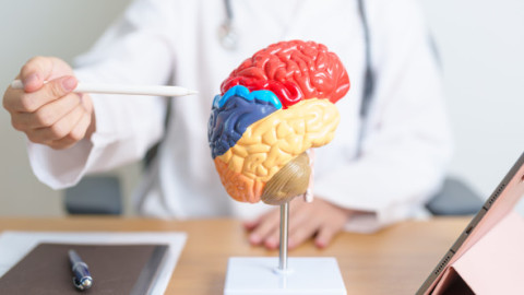 Riscul de Alzheimer, redus cu aproape 40% printr-un obicei simplu practicat toată viața