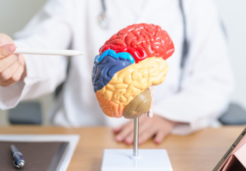 Secretul din raftul cu condimente și ierburi aromatice. În ce se găsește acidul carsonic, un nou aliat în lupta cu Alzheimer