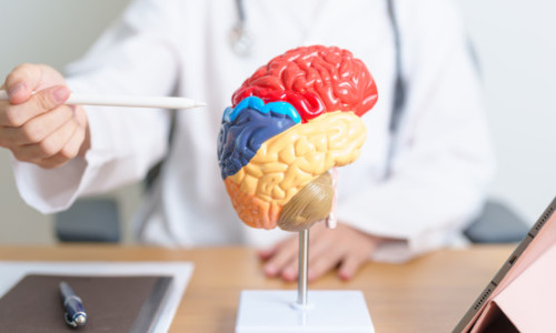 Riscul de Alzheimer, redus cu aproape 40% printr-un obicei simplu practicat toată viața