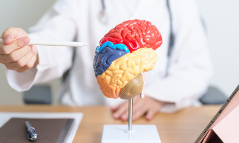 Secretul din raftul cu condimente și ierburi aromatice. În ce se găsește acidul carsonic, un nou aliat în lupta cu Alzheimer