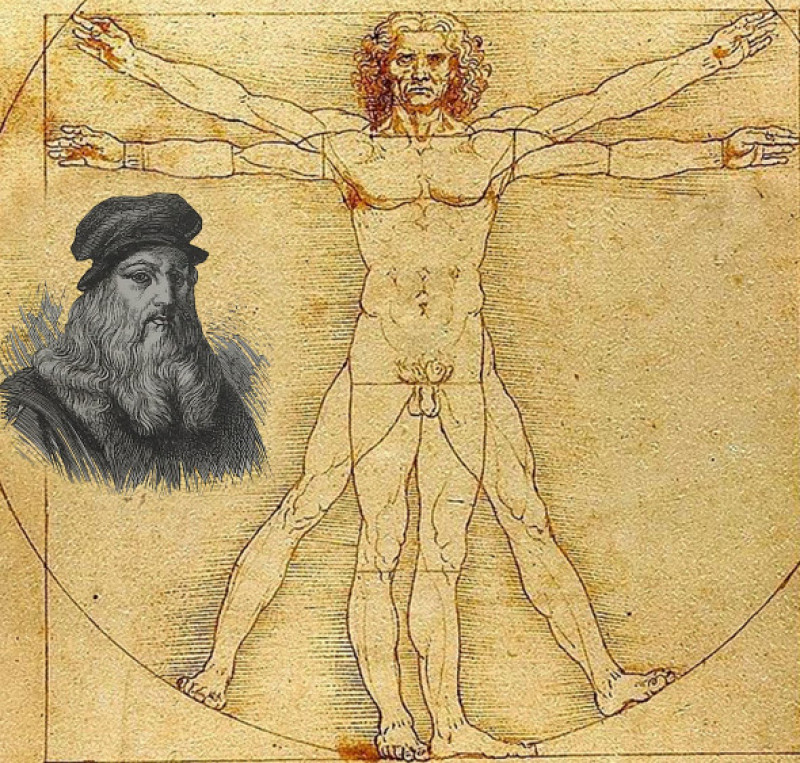 omul vitruvian, leonardo da vinci