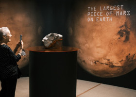 Un schelet de dinozaur și cel mai mare meteorit marțian găsit pe Pământ, vândute la licitație. Sumele, de-a dreptul fabuloase