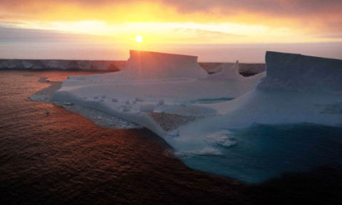 Un aisberg uriaş, format în urmă cu 39 de ani, se topeşte în largul Antarcticii: Va deveni de nerecunoscut curând. Apa este mult prea caldă