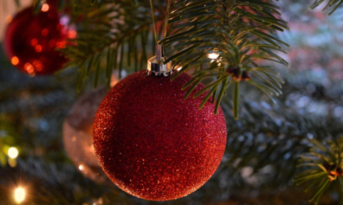 Beneficii surprinzătoare ale bradului natural în casă. De ce este o variantă ecologică mai prietenoasă decât cel artificial