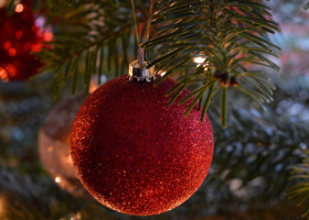 Beneficii surprinzătoare ale bradului natural în casă. De ce este o variantă ecologică mai prietenoasă decât cel artificial